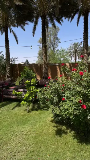صورة ٢، شالية أوراق الورد