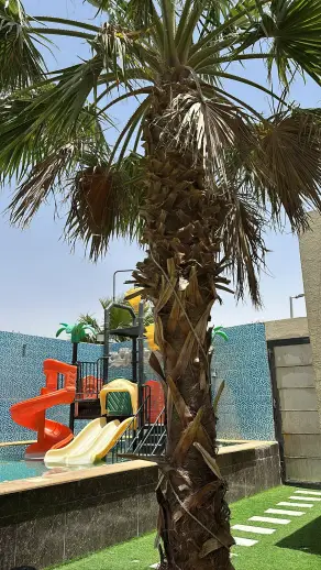 صورة ٦، شاليهات وقت العائلة
