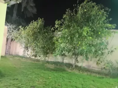 صورة ٦، استراحه دره النخيل