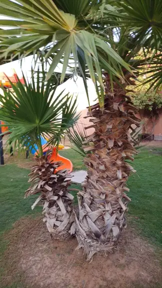 صورة ٣، شاليهات جولييت