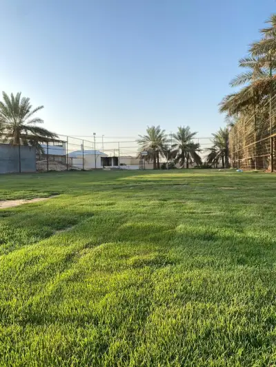 صورة ٢، استراحة ياسر