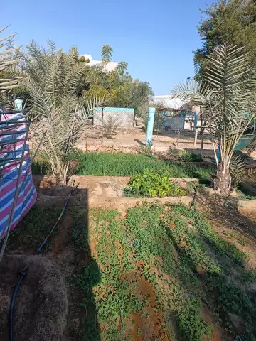 صورة ٢، شمعة الوادي بيت ريفي