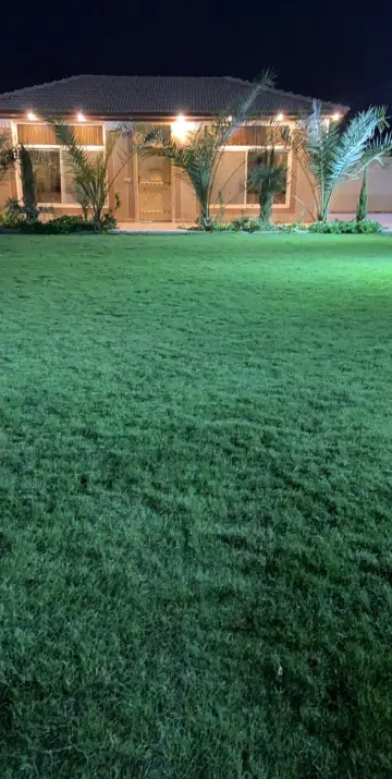 صورة ٥، شاليه ريجنسي