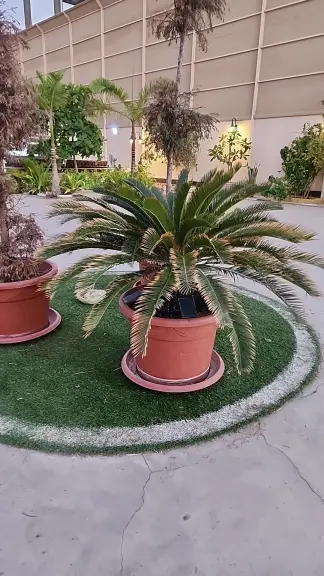 صورة ٣، استراحة لينا