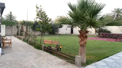 صورة ٤، استراحة النخيل