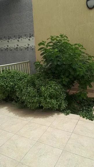 صورة ٣، شاليهات نجمة الفرسان
