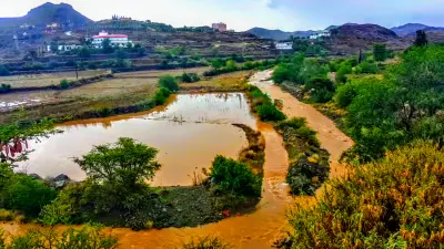 صورة ٣، مزرعة رملان القابل