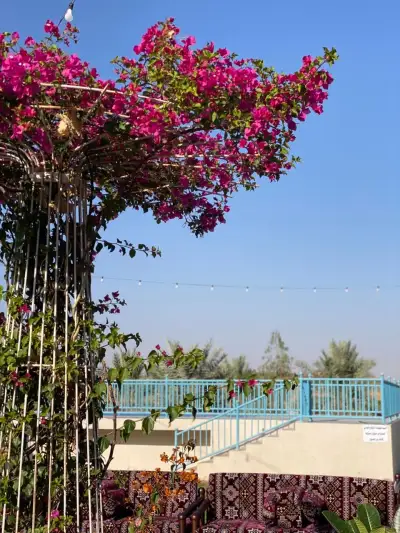 صورة ٣، استراحة رؤى
