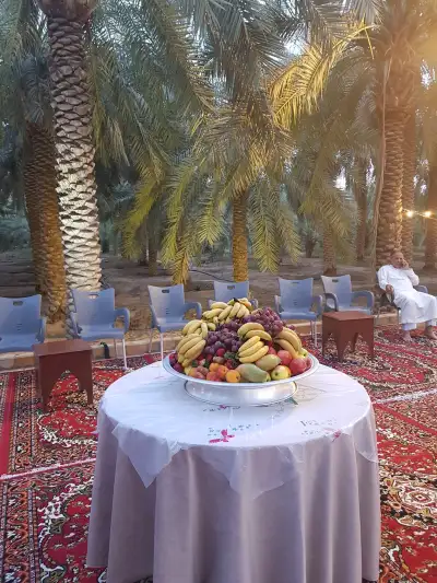 صورة ٤، مزرعة علي عبدالله الحميد الحايط