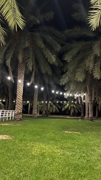 صورة ٢، مزرعة التينة