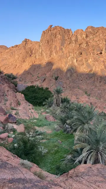 صورة ٣، مخيم اجا وسلمى - Aja wa Salma Camp