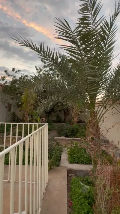 صورة ٤، استراحة السالمية