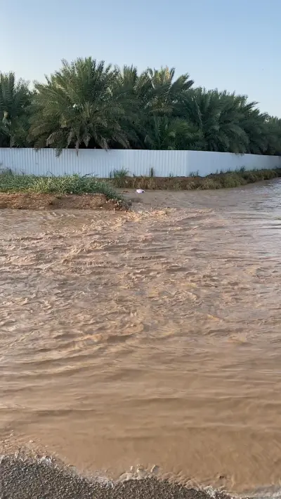 صورة ٥، مزرعة نزل الريف