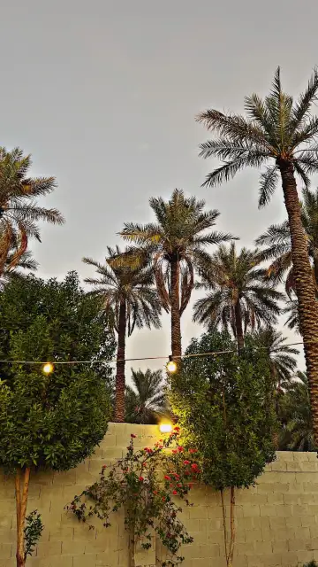 صورة ٣، شاليه ظليل