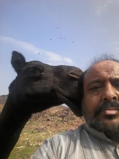 صورة ٣، استراحة ابوخالد سعيد بن سالم