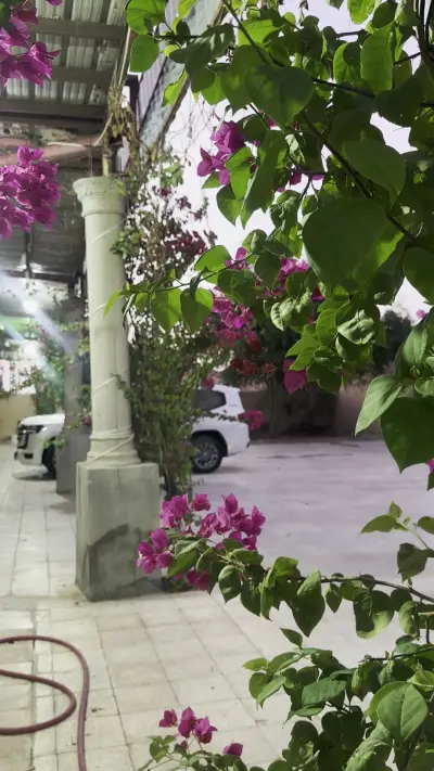 صورة ٣، استراحة سعد بن مهدي الجميعة
