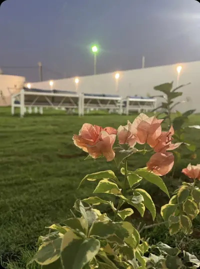 صورة ٣، استراحة درة العين