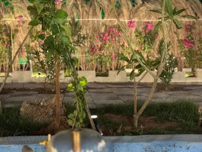 صورة ٤، استراحة الدانة