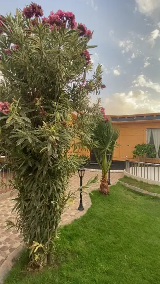 صورة ٣، شاليه شاليهات هفن هڤن