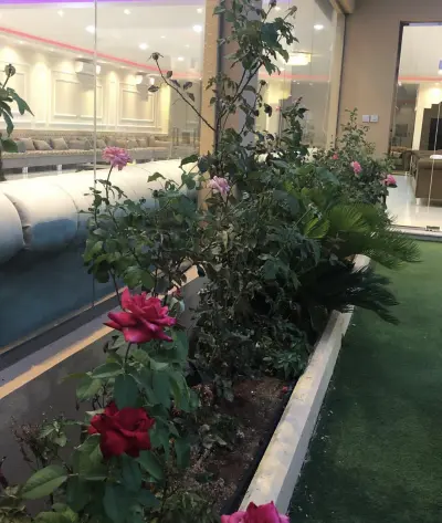 صورة ٦، استراحة الفريدة