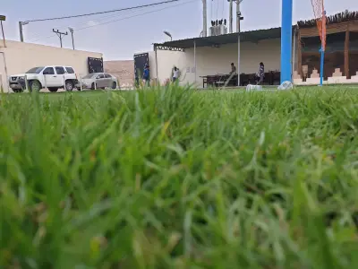 صورة ٦، استراحة تولين للايجار بديراب