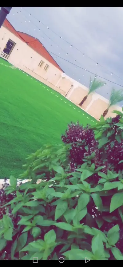 صورة ٢، استراحة الريف بضمد شمال الإسكان الخيري