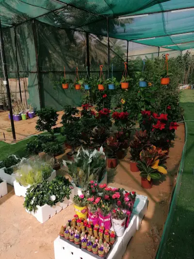 صورة ٤، استراحة الوهيبية