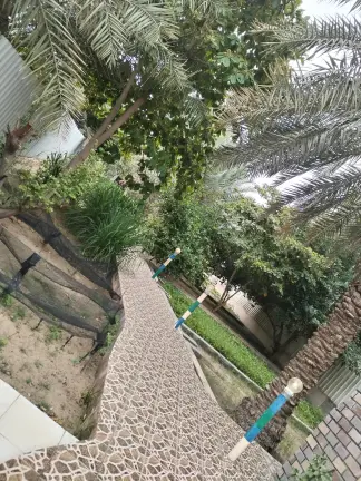 صورة ٢، مزرعة المزرع