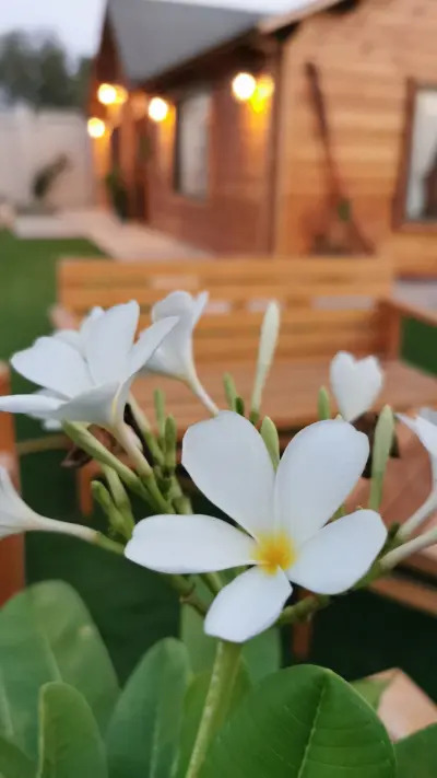 صورة ٤، شاليه الكوخ الريفي