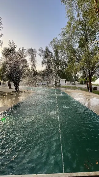 صورة ٢، منتجع هاي بارك High park resort