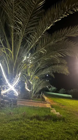 صورة ٣، منتجع هايد بارك