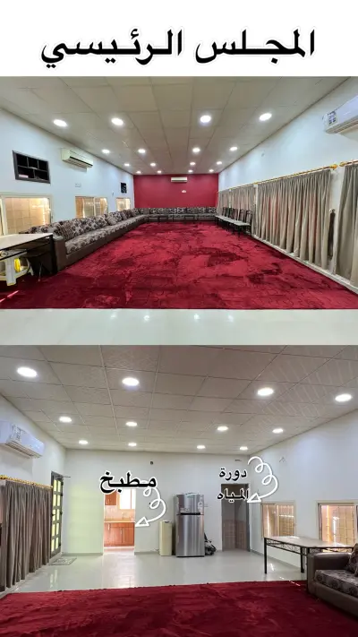 استراحة النمر