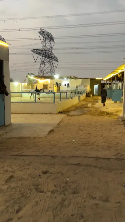 صورة ٦، استراحة ومربط السّالم