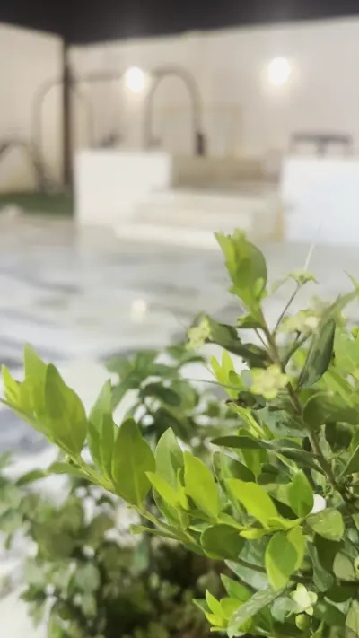 صورة ٣، استراحة الجنادرية