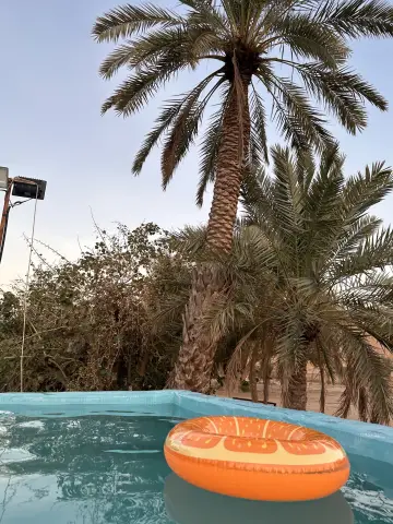 صورة ٤، مزرعة ابو مشاري للإيجار اليومي
