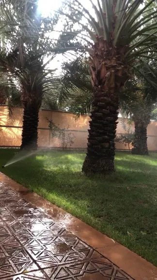 صورة ٣، منتجع مشرفة