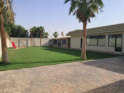 صورة ٦، سلي