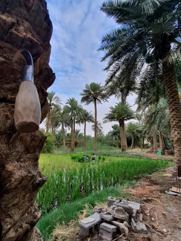 صورة ٤، استراحة جلنار