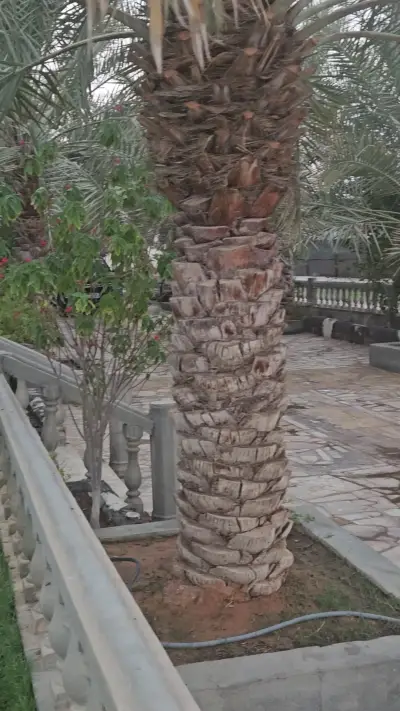 صورة ٣، مزرعة الحسناء ALHASNA FARM