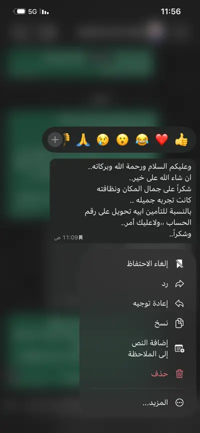 صورة ٣، Viila