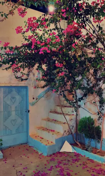 صورة ٢، مزرعة ماما منيره للإيجار