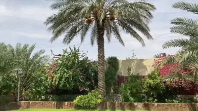 صورة ٣، استراحة البركة