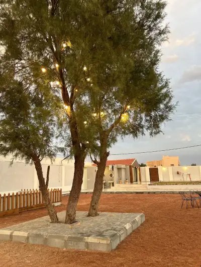شالية الطرفاء
