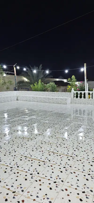 صورة ٣، استراحة الجذور