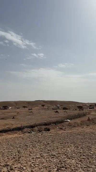 صورة ٣، مخيم الغربي