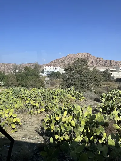 شاليهات نوافل الذهبية GOLDEN NAWAFEL CHALETS