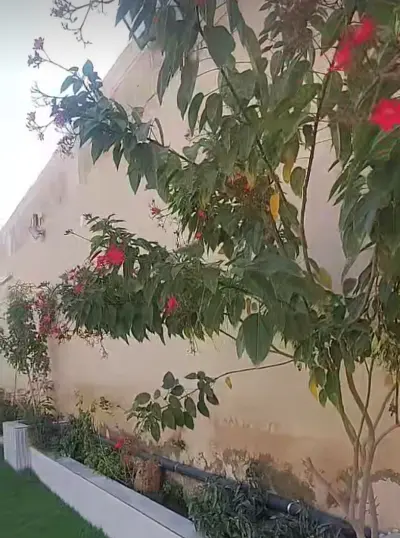 استراحة ليالي نجد