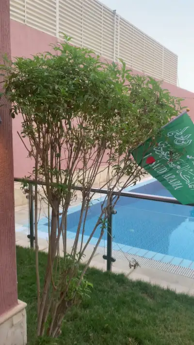 صورة ٤، شاليهات مارسيليا