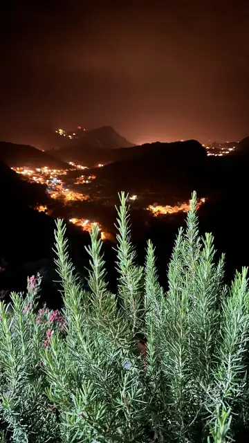 صورة ٢، استراحة آل زاهر