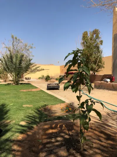 استراحة العجيان